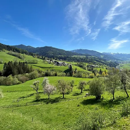 Panorama-apartment Ennstalblick Apartamento Niederöblarn